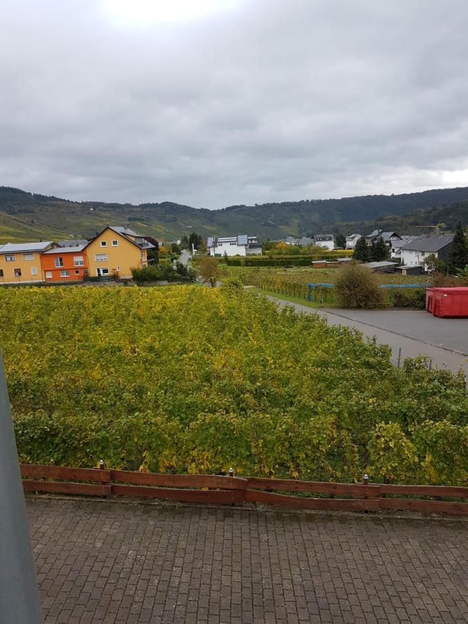 Ferienweinhaus Roemer-Knodt Kröv Kültér fotó